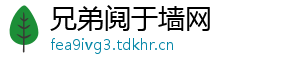 兄弟阋于墙网
